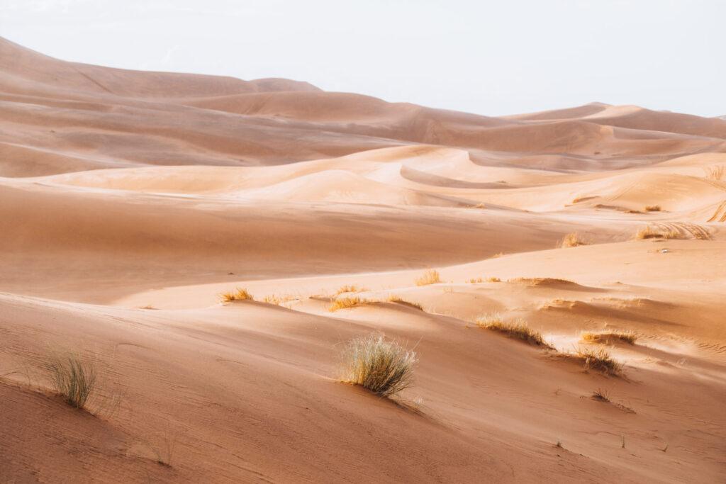 visiter Marrakech : Desert Zagora