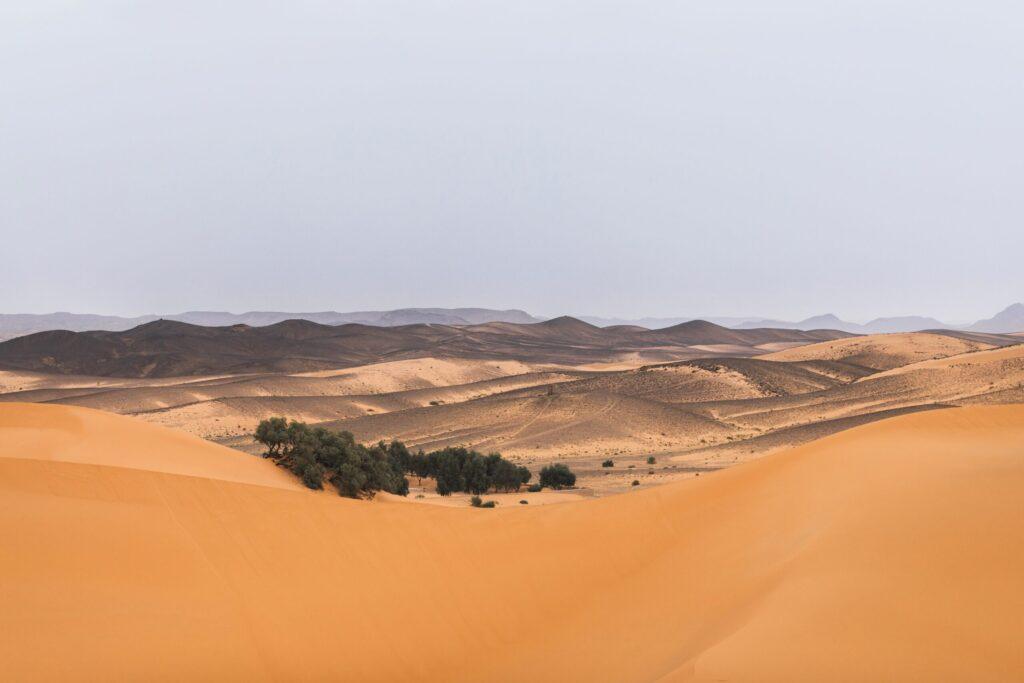 Découvrir le désert du Sahara, une merveille naturelle du Maroc.