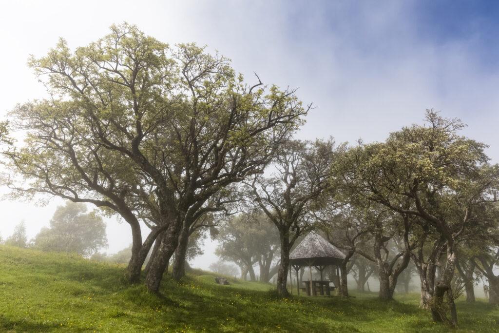 Une illustration de paysages naturels et d'aventures ensoleillées.