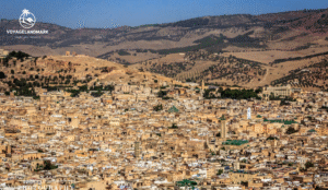 Le top 10 des choses à voir à Fès